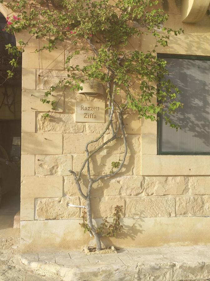 Razzett Ziffa Villa Victoria Dış mekan fotoğraf